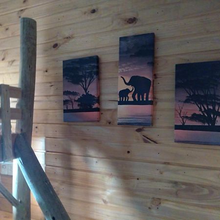 Hostel Cape Town - Cambará エクステリア 写真