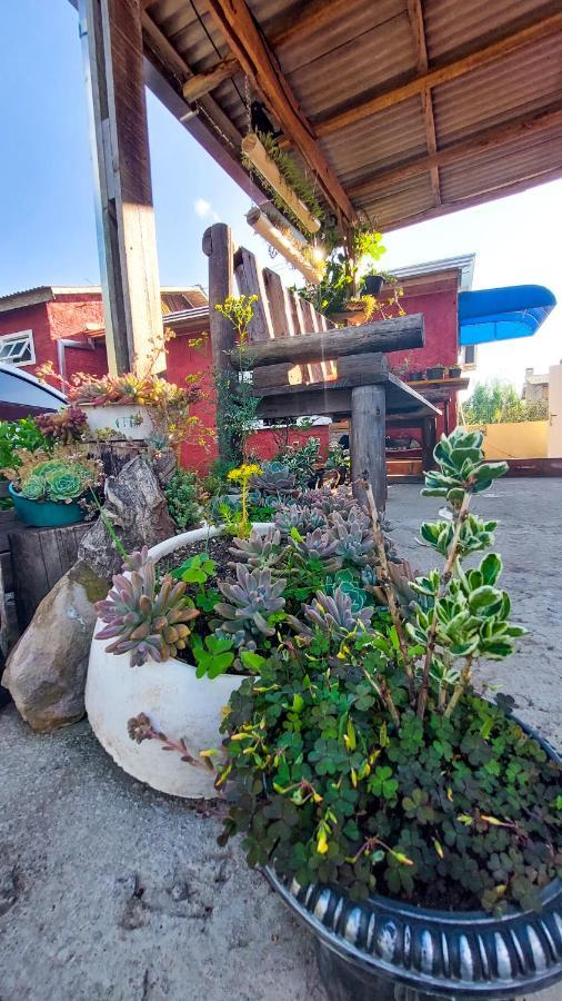Hostel Cape Town - Cambará エクステリア 写真