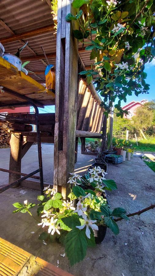 Hostel Cape Town - Cambará エクステリア 写真