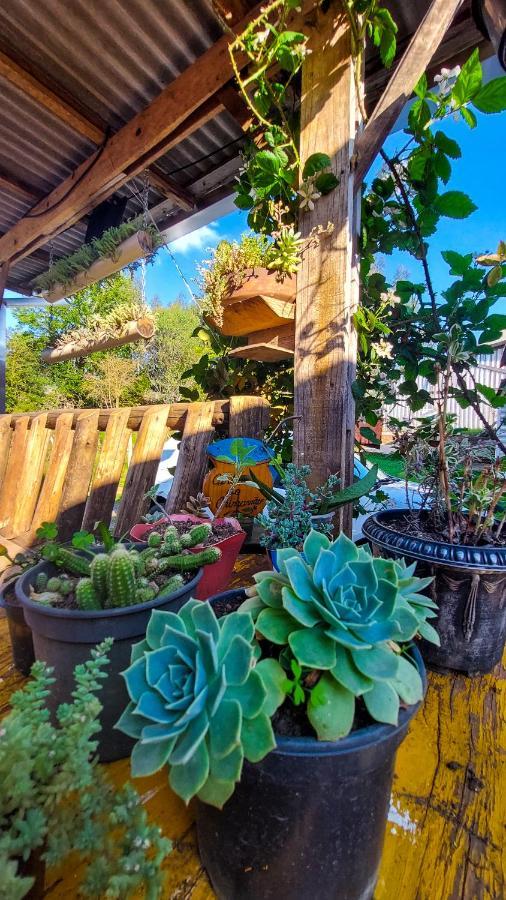 Hostel Cape Town - Cambará エクステリア 写真