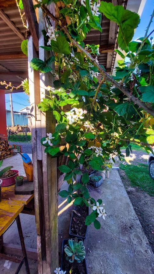 Hostel Cape Town - Cambará エクステリア 写真