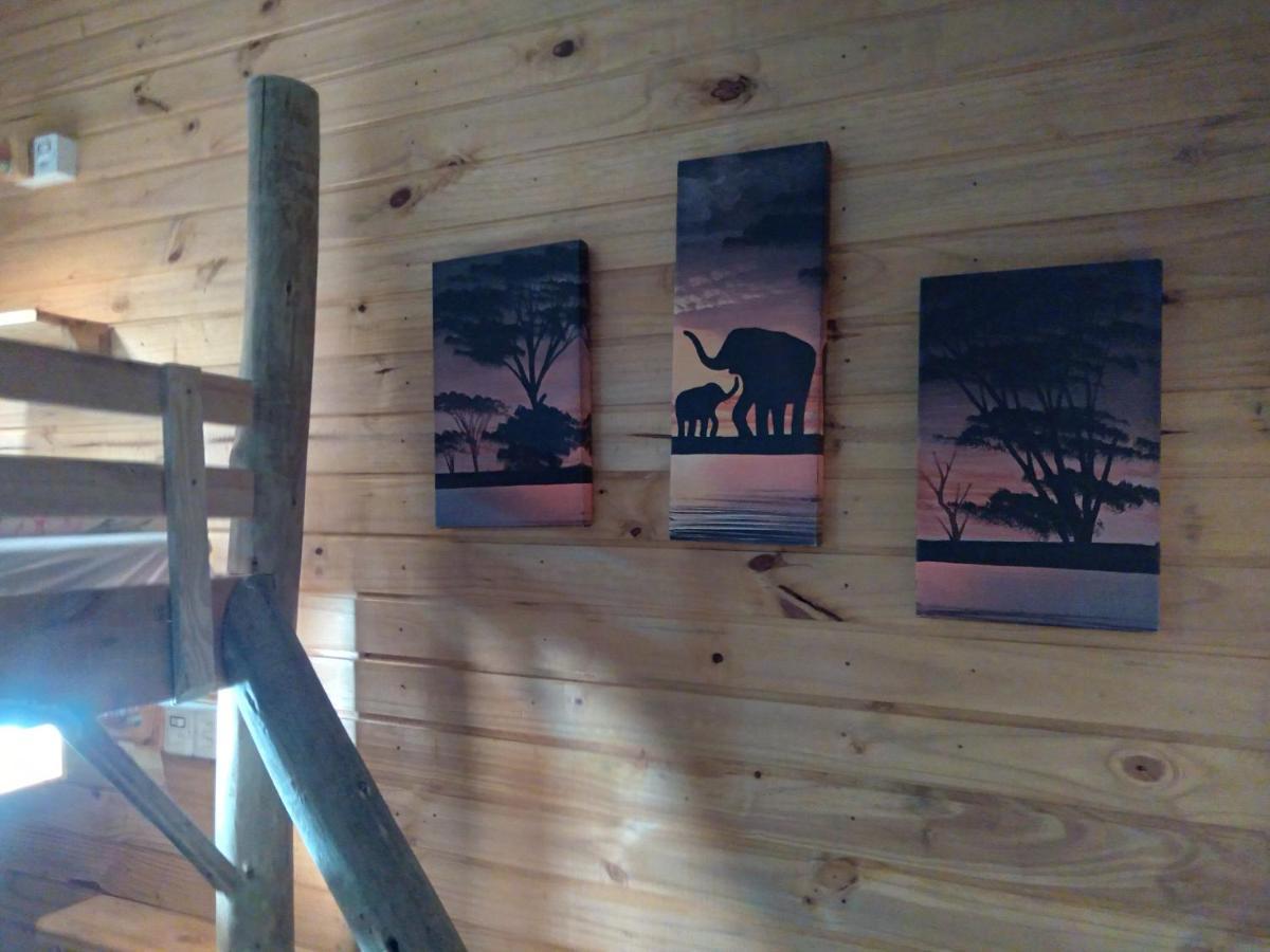 Hostel Cape Town - Cambará エクステリア 写真